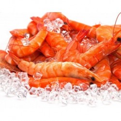 Camarao com casca 20/30