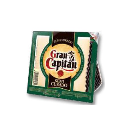 Queijo Gran Capitan semicurado cunha 250gr x 16unidades