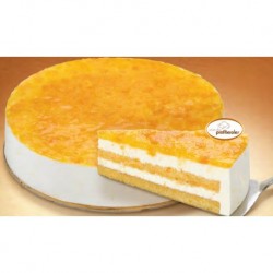 SEMI - FRIO DE MANGA